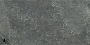 Керамогранит NT Ceramic Quanta Grey арт. NS612NTT9023L (60x120) лаппатированный